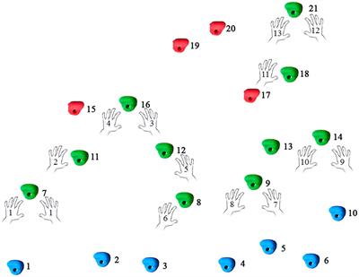 Embodied planning in climbing: how pre-planning informs motor execution